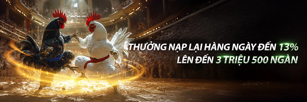 Đá gà trực tuyến kịch tính tại sabong67 chính thức